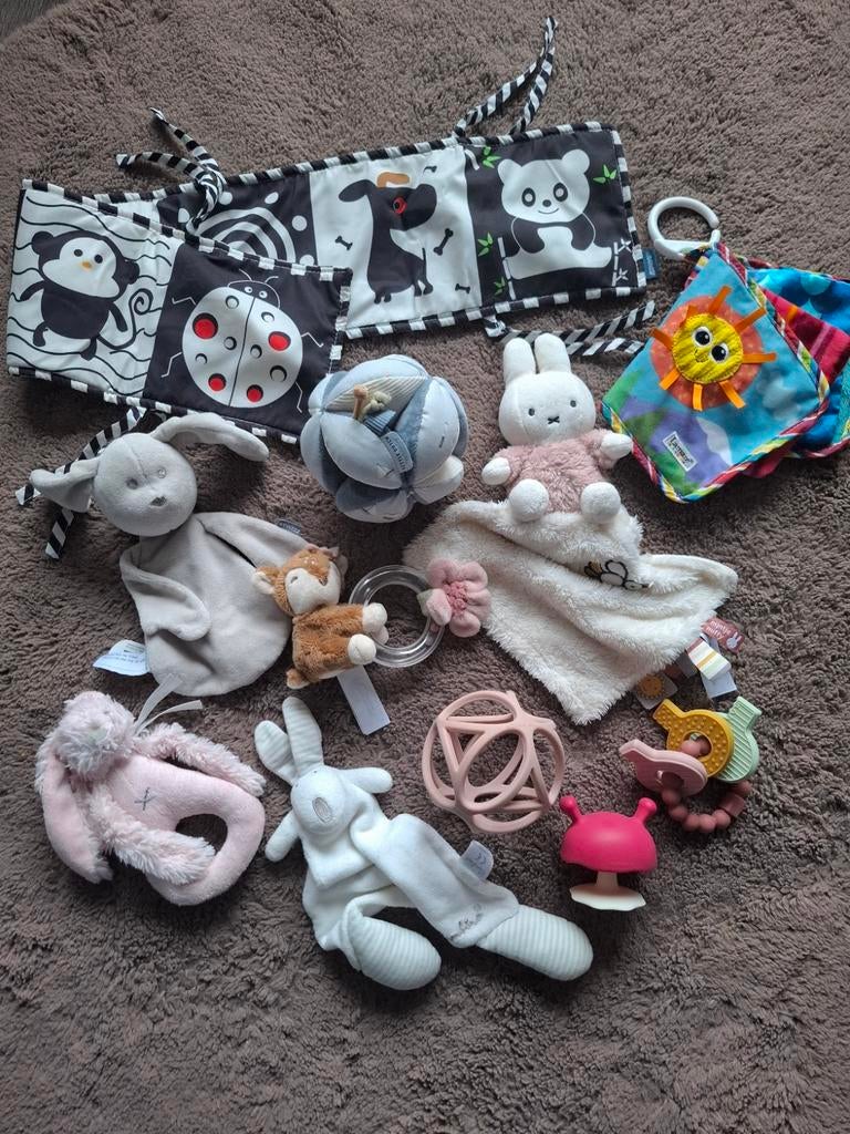 Babyspeelgoed pakket - diverse speeltjes (Little Dutch), Ophalen, Zo goed als nieuw, Rammelaar, Met geluid