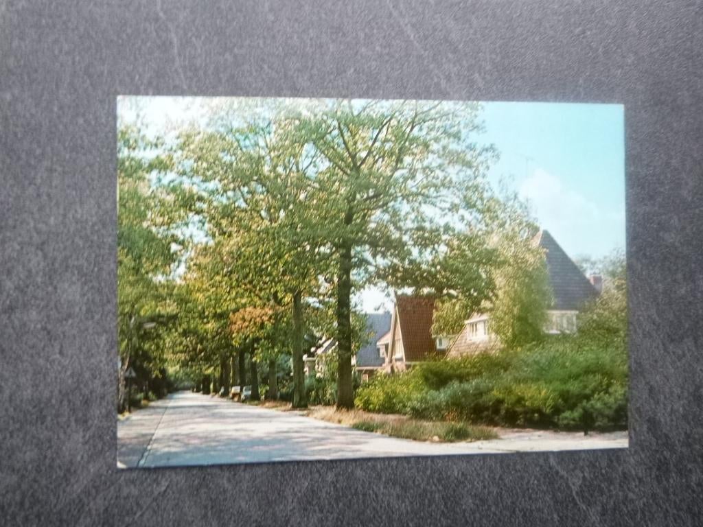 Den Dolder, Paltzerweg 1977, Verzenden, 1960 tot 1980, Gelopen, Noord-Brabant