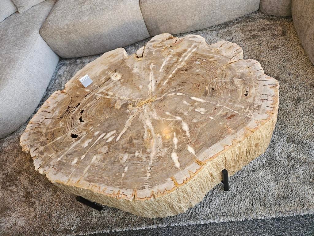 Salontafel versteend hout patrified wood, Huis en Inrichting, Tafels | Salontafels, Nieuw, Minder dan 50 cm, Rechthoekig, 50 tot 100 cm