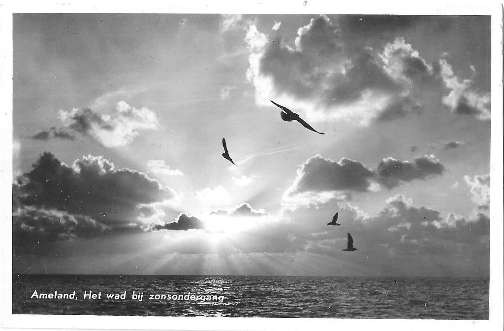 AK Ameland - Het wad bij zonsondergang, Verzamelen, Ophalen of Verzenden, 1940 tot 1960, Gelopen, Waddeneilanden
