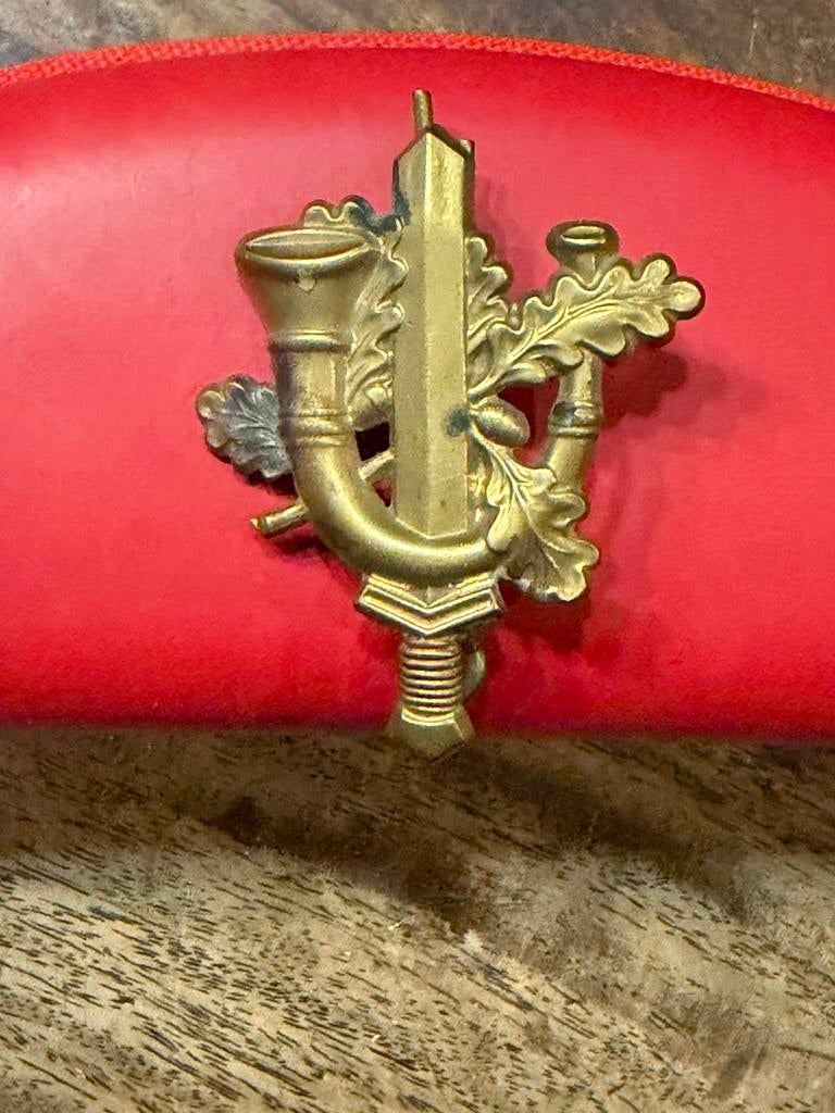 Regiment limburgse jagers embleem, Ophalen of Verzenden, Nederland, Embleem of Badge