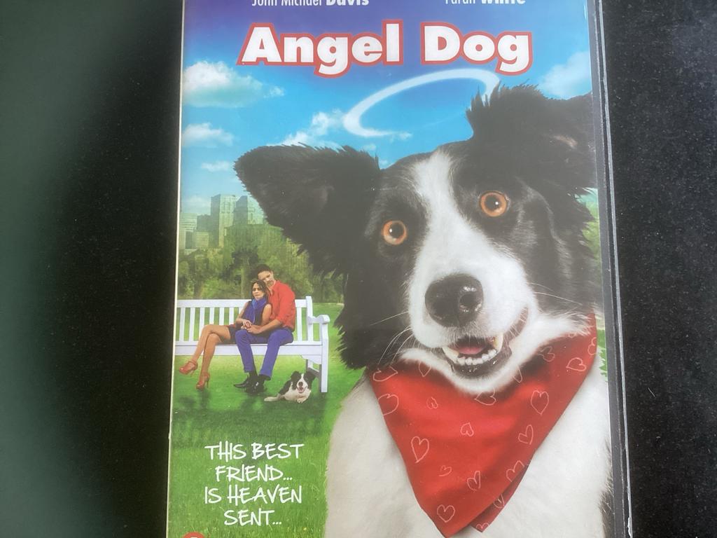 Angel Dog DVD - Familiefilm, Alle leeftijden, Ophalen of Verzenden, Zo goed als nieuw, Overige genres