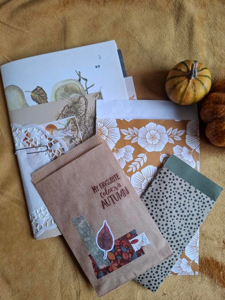 Journal pakket herfst groot, Hobby en Vrije tijd, Scrapbooking, Ophalen of Verzenden, Zo goed als nieuw, Papier of Karton