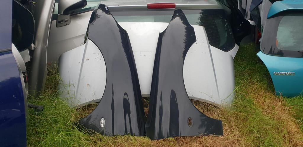 PEUGEOT 206 VOORSCHERMEN CODE EXLD, Ophalen of Verzenden, Gebruikt, Spatbord