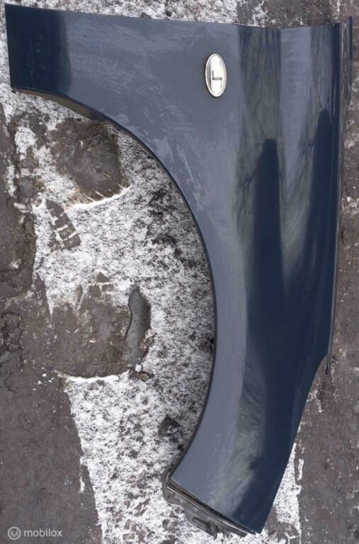 Spatscherm Peugeot 206, Auto-onderdelen, Ophalen of Verzenden, Gebruikt