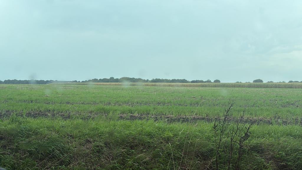 Te huur gevraagd landbouw grond gras of bouwland, Ophalen of Verzenden, Tot 1 ha, Akkerbouwbedrijf