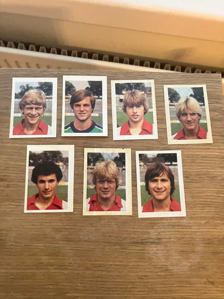 Ajax panini vanderhout 1981-1982, Verzamelen, Ophalen of Verzenden, Gebruikt, Ajax, Poster, Plaatje of Sticker