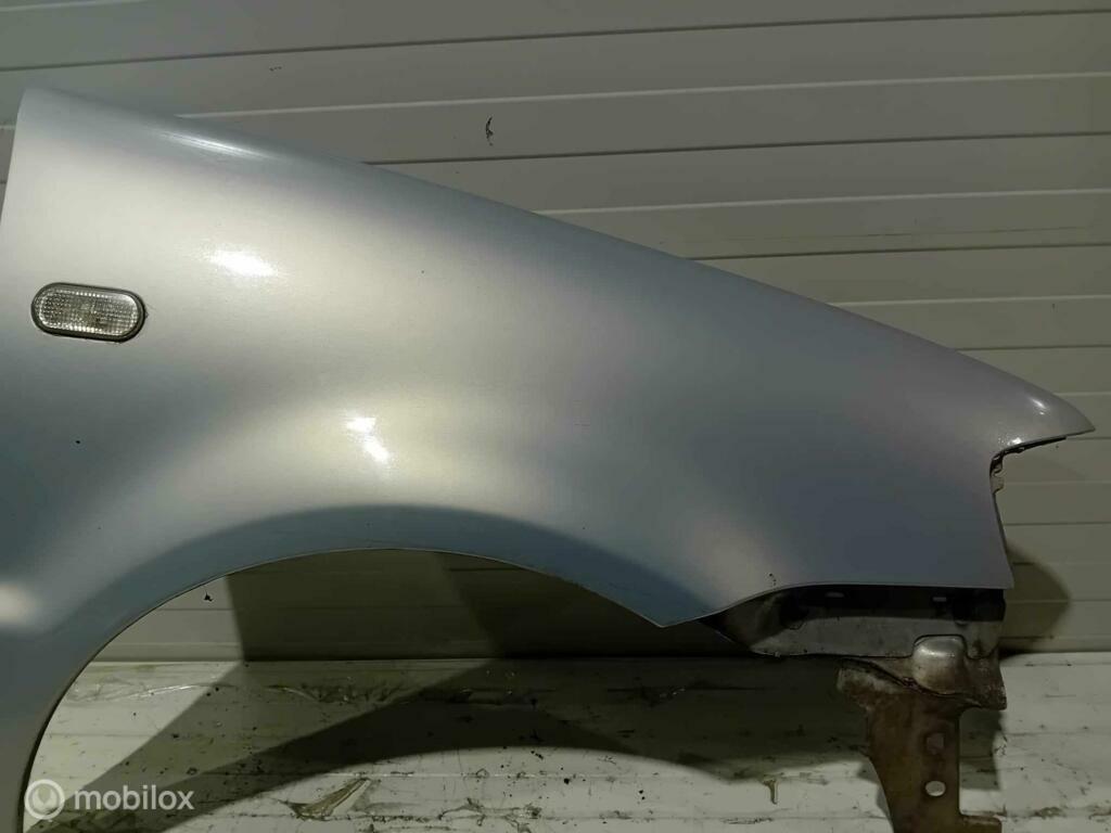 Spatscherm Volkswagen Polo, Ophalen of Verzenden, Gebruikt