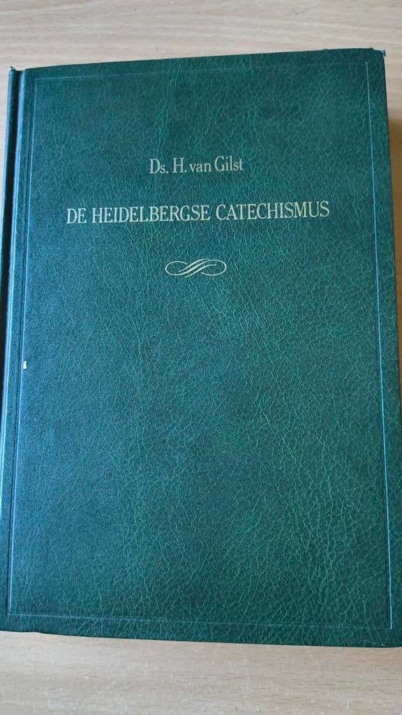 De Heidelbergse catechismus. Ds H van Gilst, Ds H van Gilst, Christendom | Protestants, Ophalen of Verzenden, Zo goed als nieuw