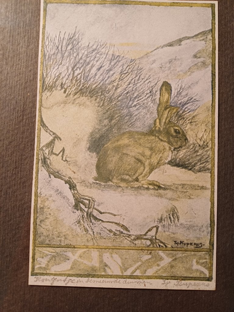 ZELDZAME TEKENING VAN SJOERD KUPERUS, Antiek en Kunst, Kunst | Schilderijen | Klassiek, Nederlandse school, Dieren, Tekening, Papier