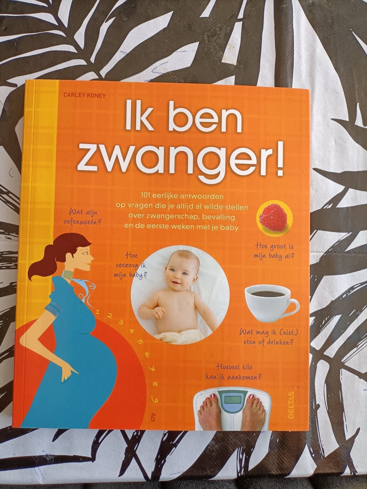 Nieuw boek ik ben zwanger, Ophalen of Verzenden, Nieuw, Zwangerschap en Bevalling