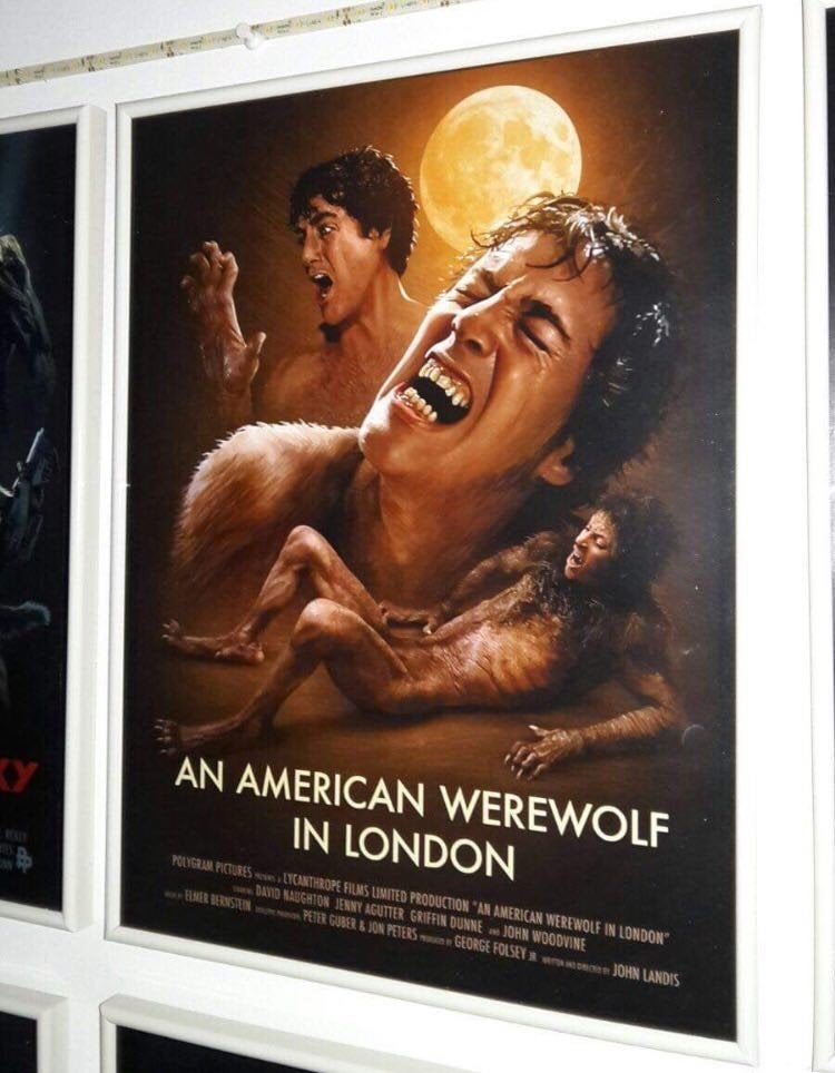 an american werewolf in london, Ophalen of Verzenden, Film en Tv