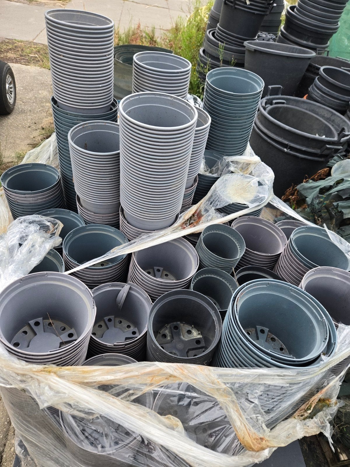 Grote partij kweek potten containers voor planten, Kunststof, Gebruikt, Minder dan 30 cm, Minder dan 60 cm