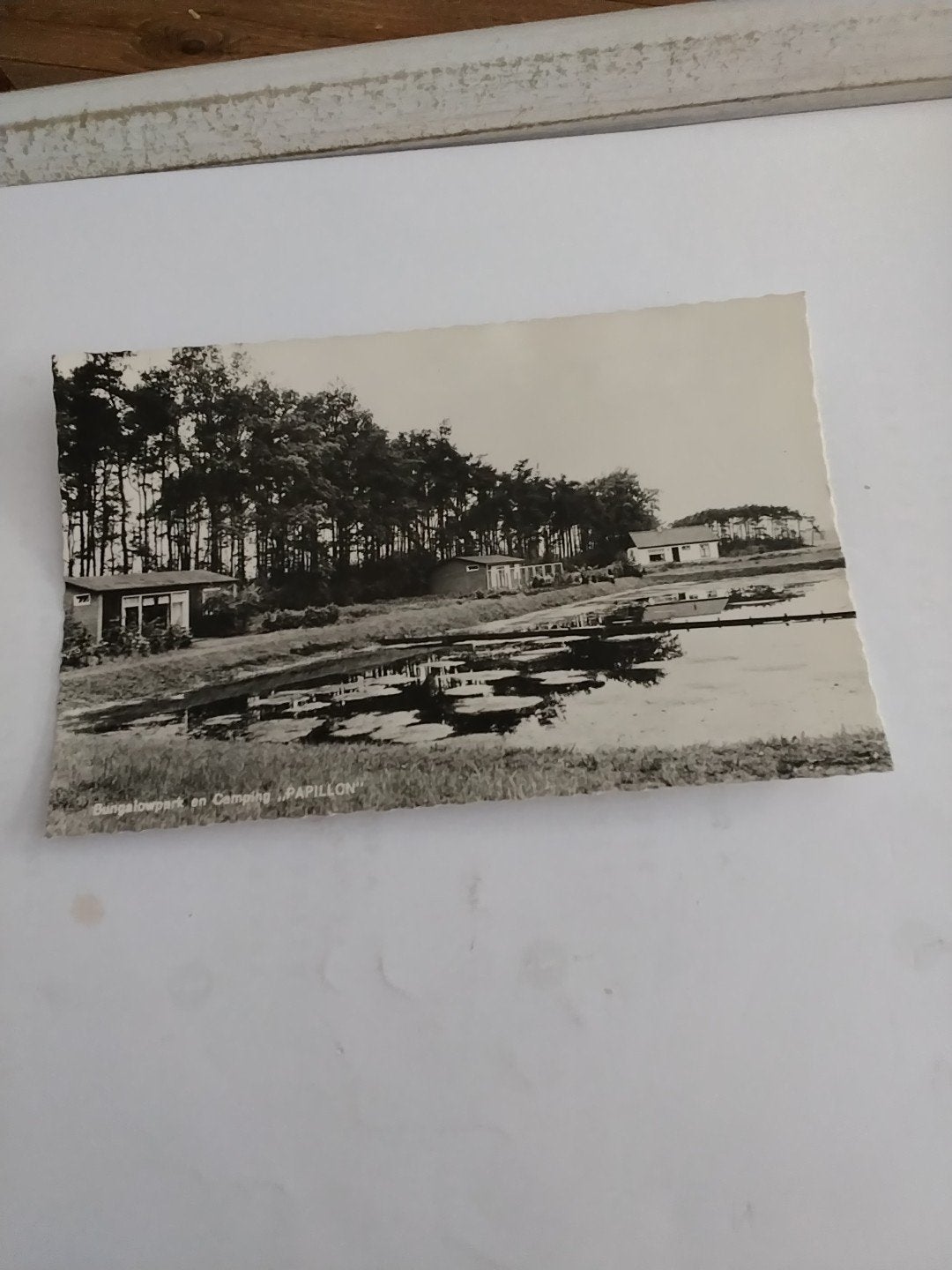 Oude ansichtkaart Bungalowpark-Camping Papillon Denekamp, Ophalen of Verzenden, 1960 tot 1980, Gelopen, Overijssel