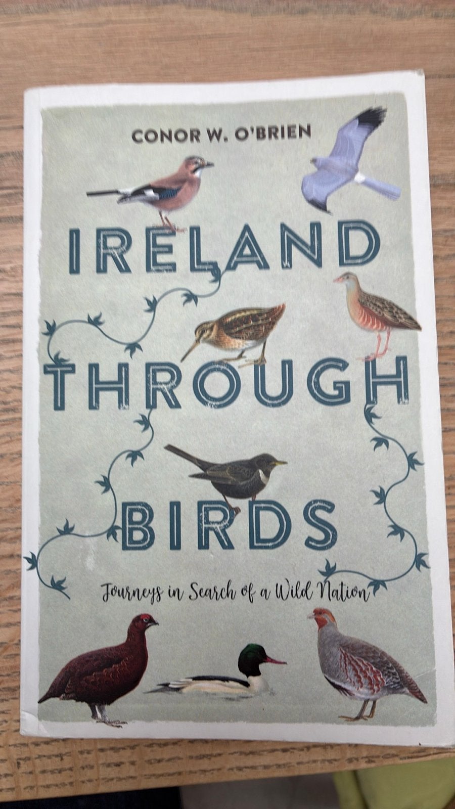 Ireland Through Birds - Conor W. O'Brien, Boeken, Ophalen of Verzenden, Zo goed als nieuw, Vogels