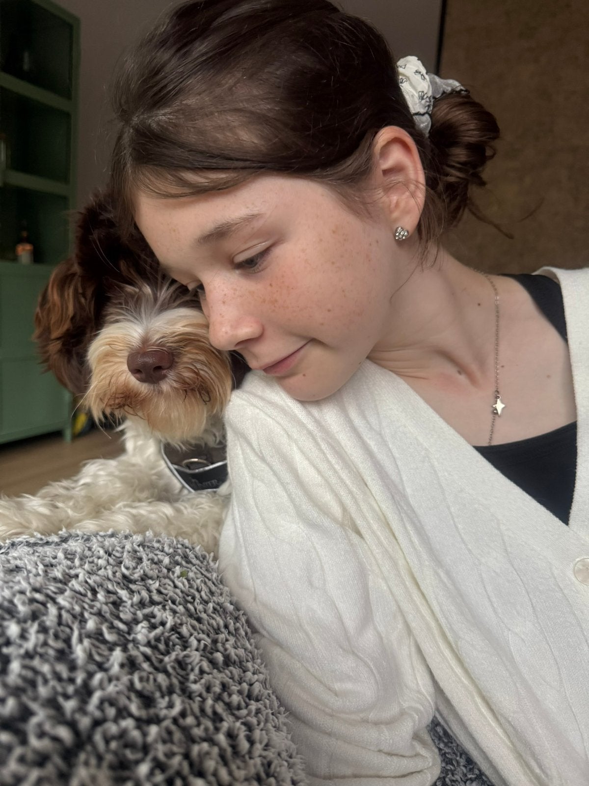 Honden uitlaatservice, Uitlaatservice