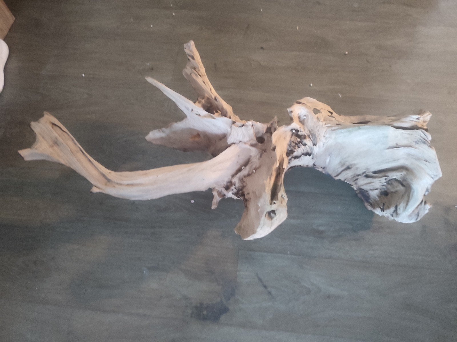 Decoratief drijfhout stuk, Ophalen