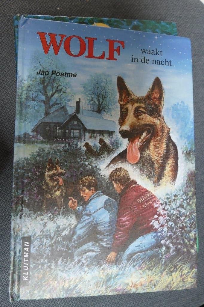 Jan Postma – Wolf waakt in de nacht, Boeken, Ophalen of Verzenden, Jan Postma, Fictie