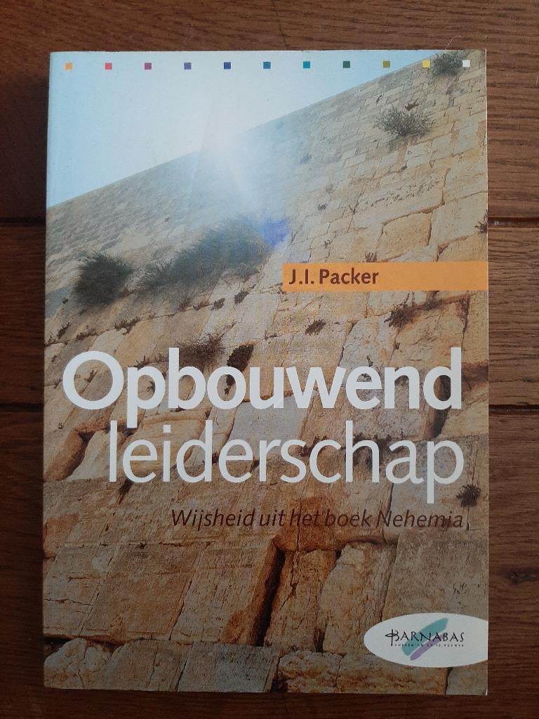 Packer, Opbouwend leiderschap, Wijsheid uit het boek Nehemia, Ophalen of Verzenden, Gelezen