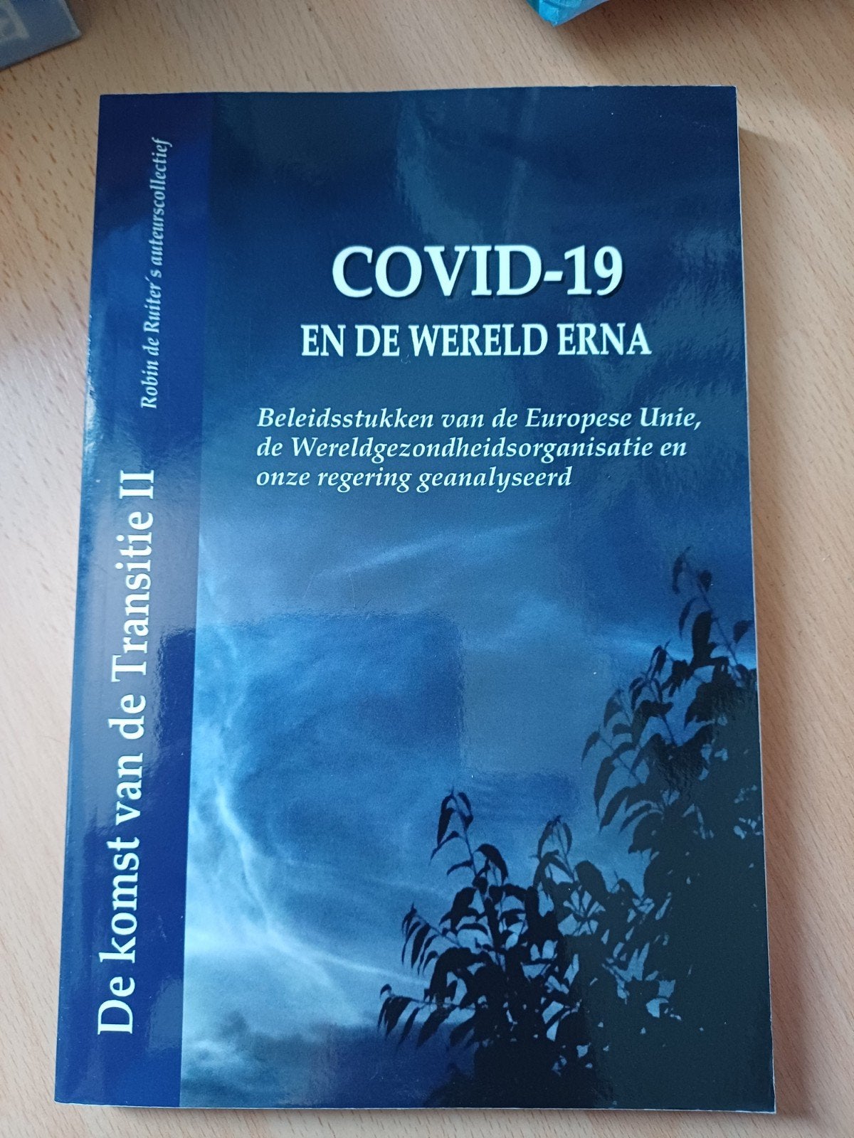 COVID-19 en de Wereld Erna - Analyse van Beleidsstukken, Ophalen of Verzenden, Gelezen, Robin de Ruiter, Nederland