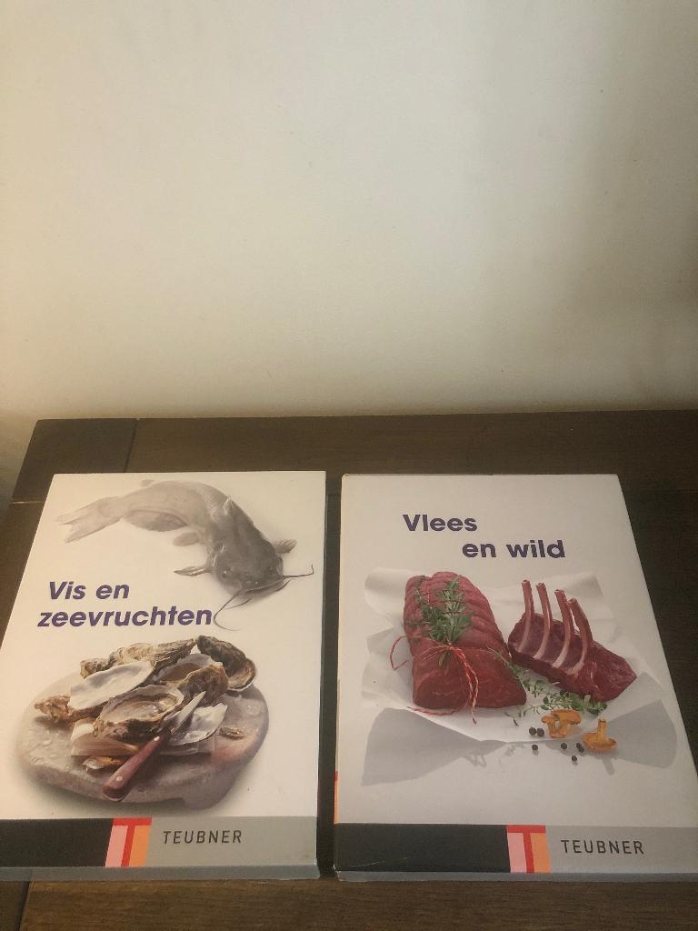 Teubner.   Vlees en wild, + vis en zeevruchten, Boeken, Ophalen of Verzenden, Zo goed als nieuw, Nederland en België