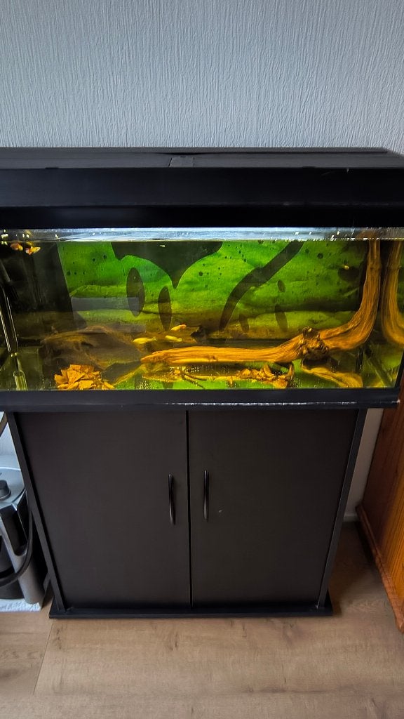 Aquarium 80 cm met meubel, Ophalen, Gebruikt, Leeg aquarium