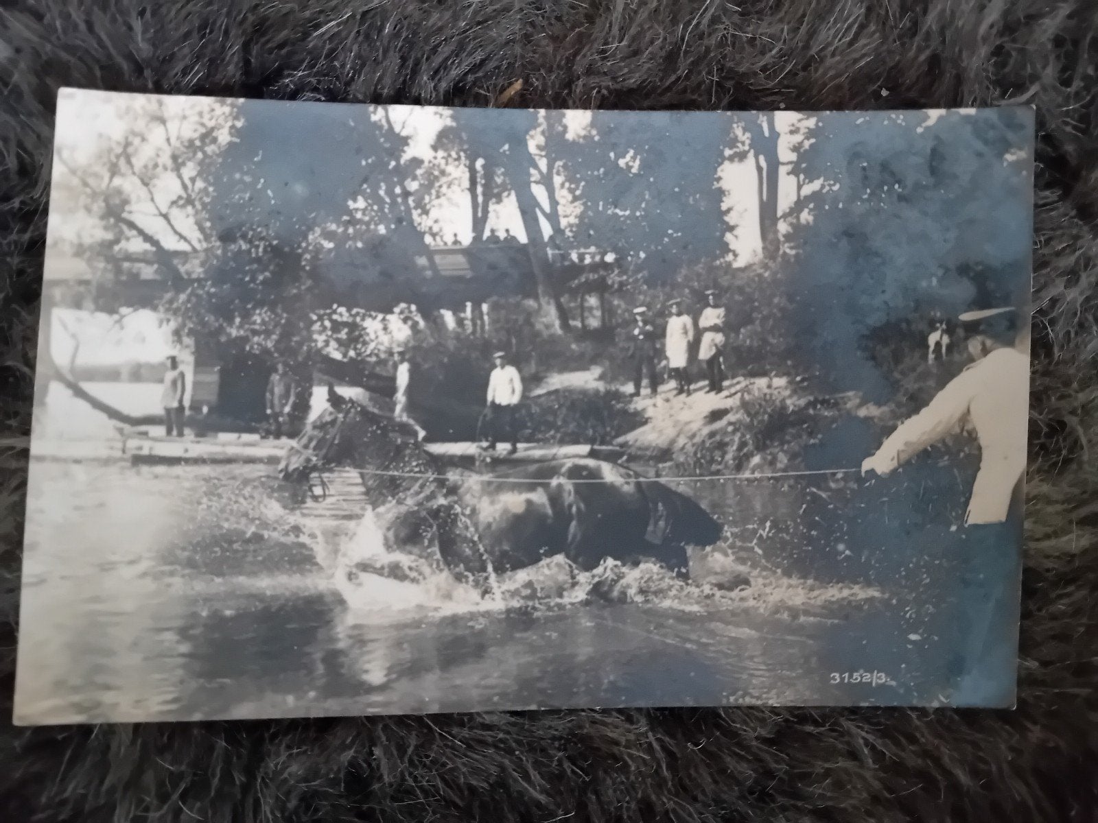Fotokaart onbekend, Verzamelen, Ansichtkaarten | Nederland, Ophalen of Verzenden, Voor 1920, Zuid-Holland