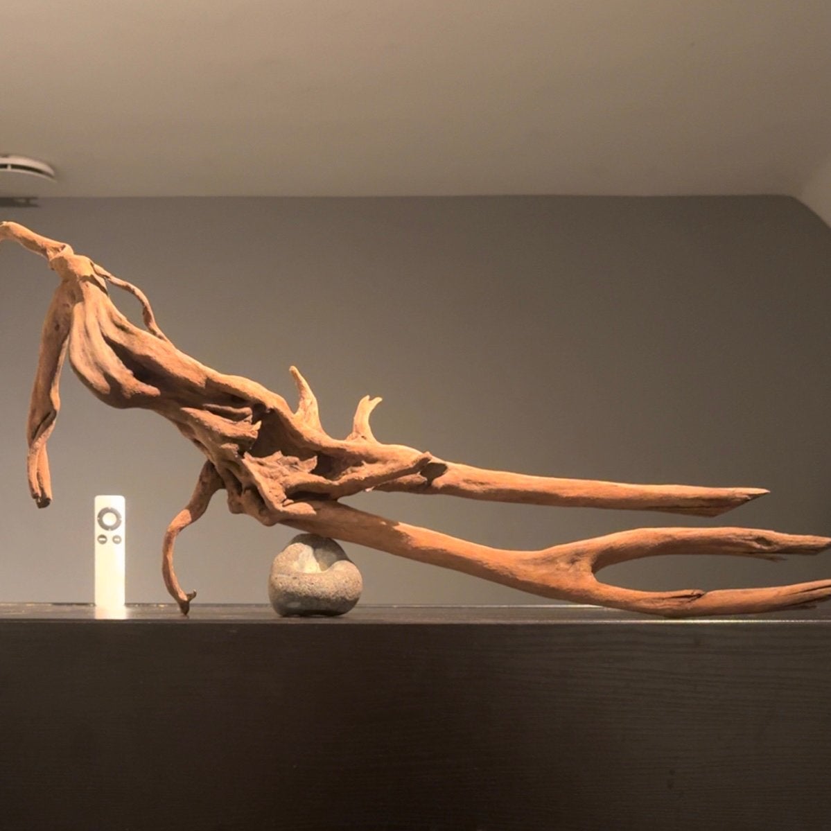 Groot stuk Spiderwood / Driftwood / Kienhout, Hout Decoratie, Ophalen of Verzenden, Zo goed als nieuw, Plant(en), Steen of Hout