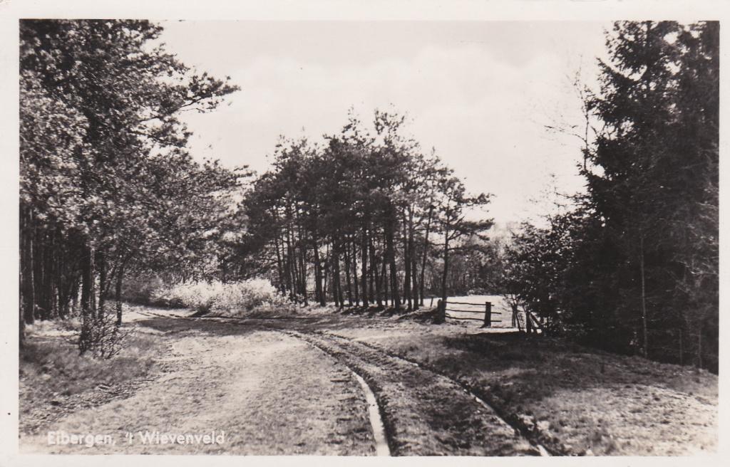 18388 Het Wievenveld Eibergen Achterhoek Neede Borculo 1948, Verzenden, 1940 tot 1960, Gelopen, Gelderland