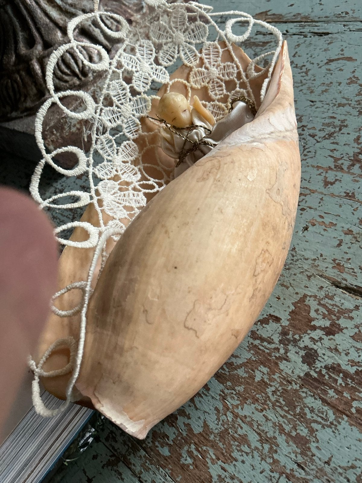 Oude schelp met soort wassen poppen lijfje, Antiek en Kunst, Ophalen of Verzenden