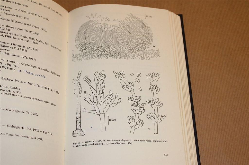 Geslachten Schimmels Reincultuur — Volledig Herzien, Boeken, Ophalen of Verzenden, Zo goed als nieuw, Bloemen, Planten en Bomen