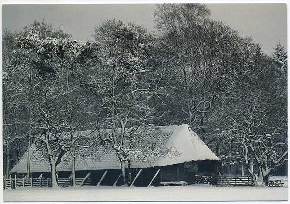 Loenense Bos - Schaapskooi, Ophalen of Verzenden, 1980 tot heden, Gelopen, Gelderland