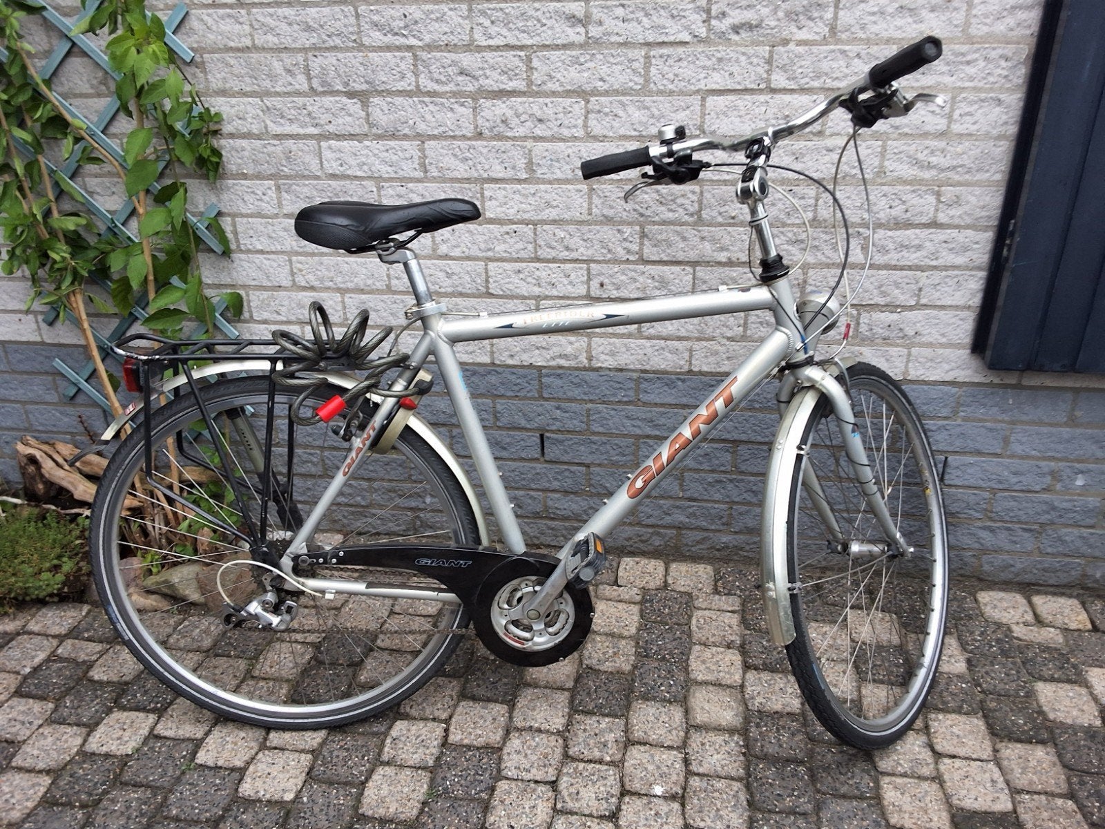 Giant Freerider Lichtgewicht Fiets - met Extra's, Ophalen, Gebruikt, Velgrem, Versnellingen