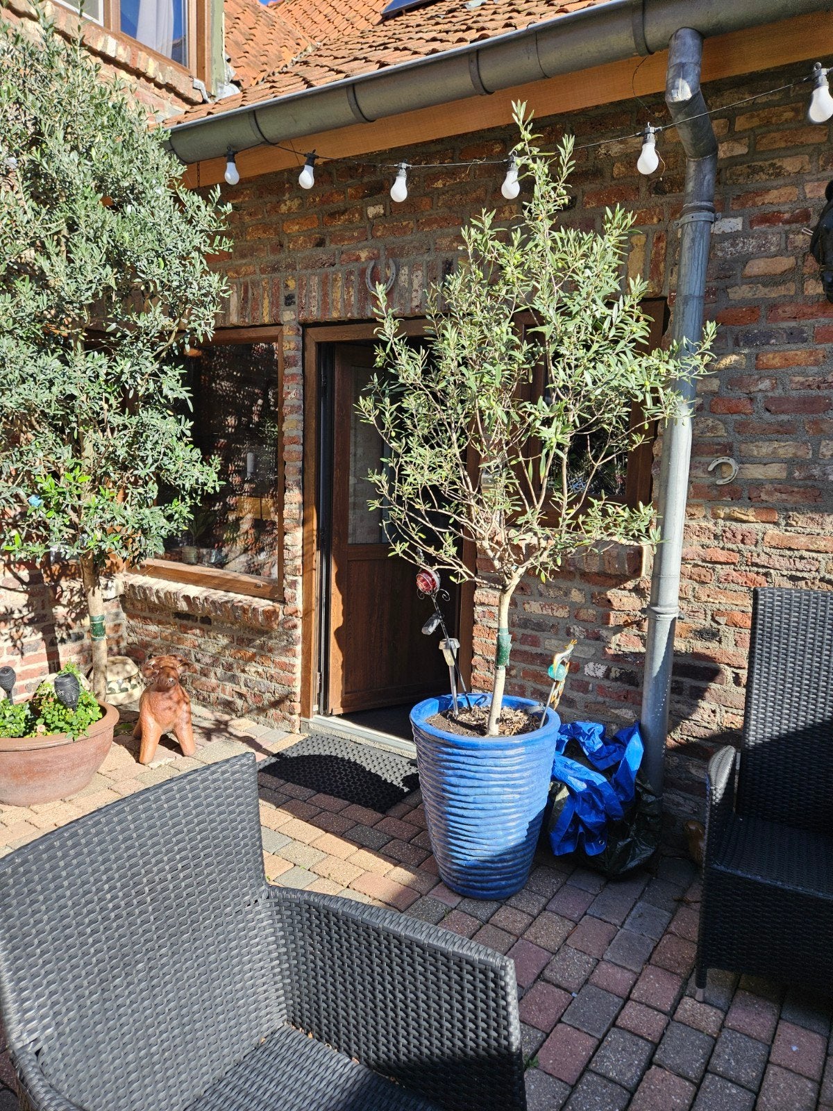 Grote blauwe bloempot voor buiten met olijfboom, Tuin en Terras, Ophalen, Overige materialen, Gebruikt, Minder dan 60 cm