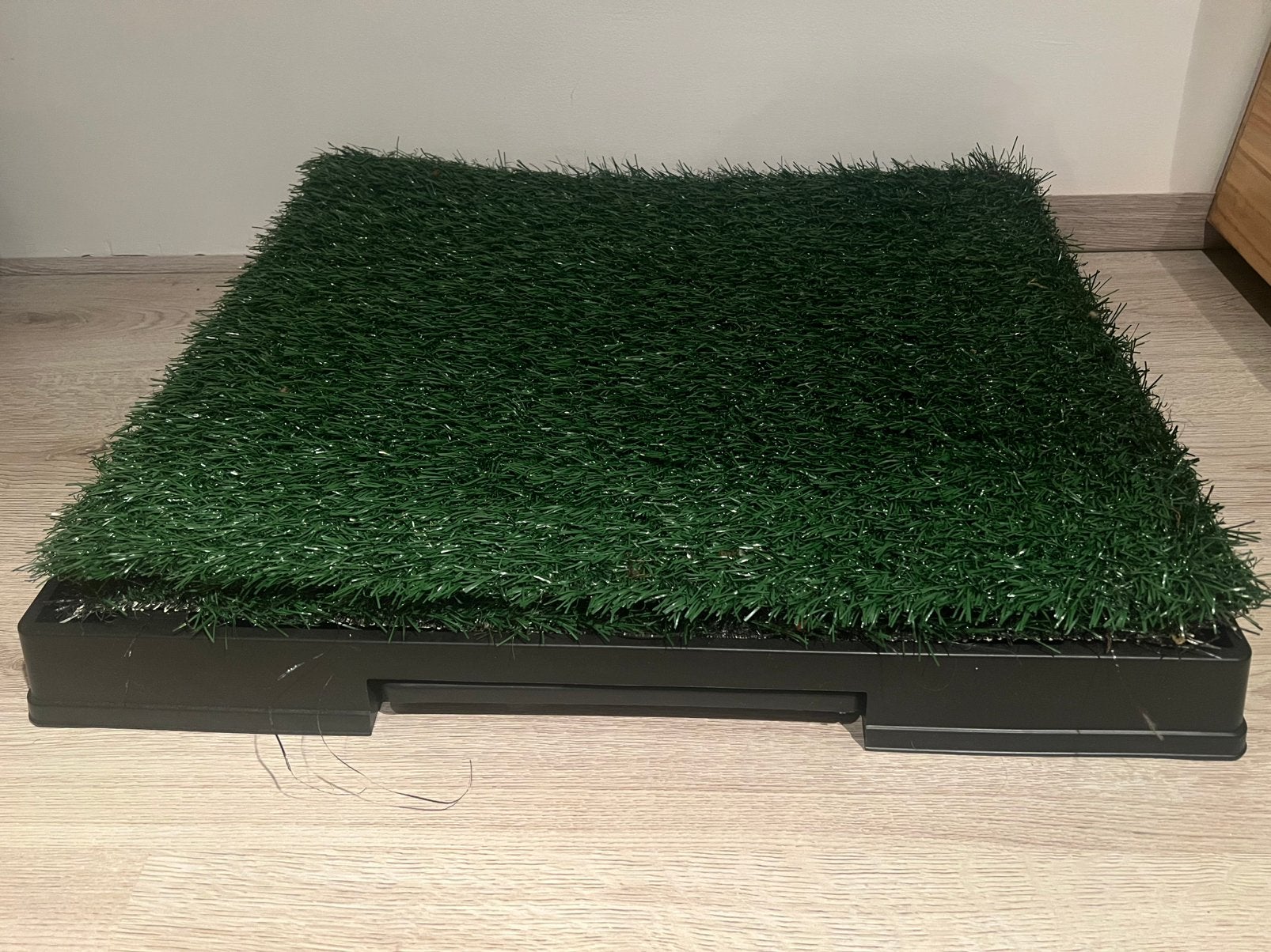 Zindelijkheids grasmat pup, Ophalen, Zo goed als nieuw, Minder dan 10 m²