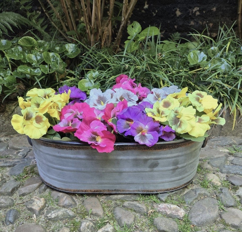 VIOOLTJES - KUNST - 2 KLEUREN