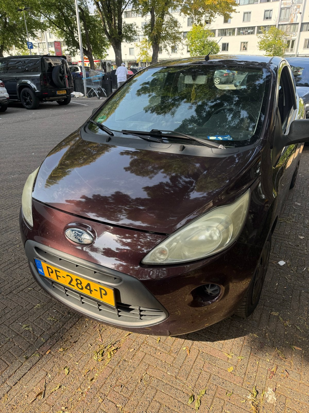 Ford Ka 1.2 51KW 2009 Bruin, Nieuw, Ford