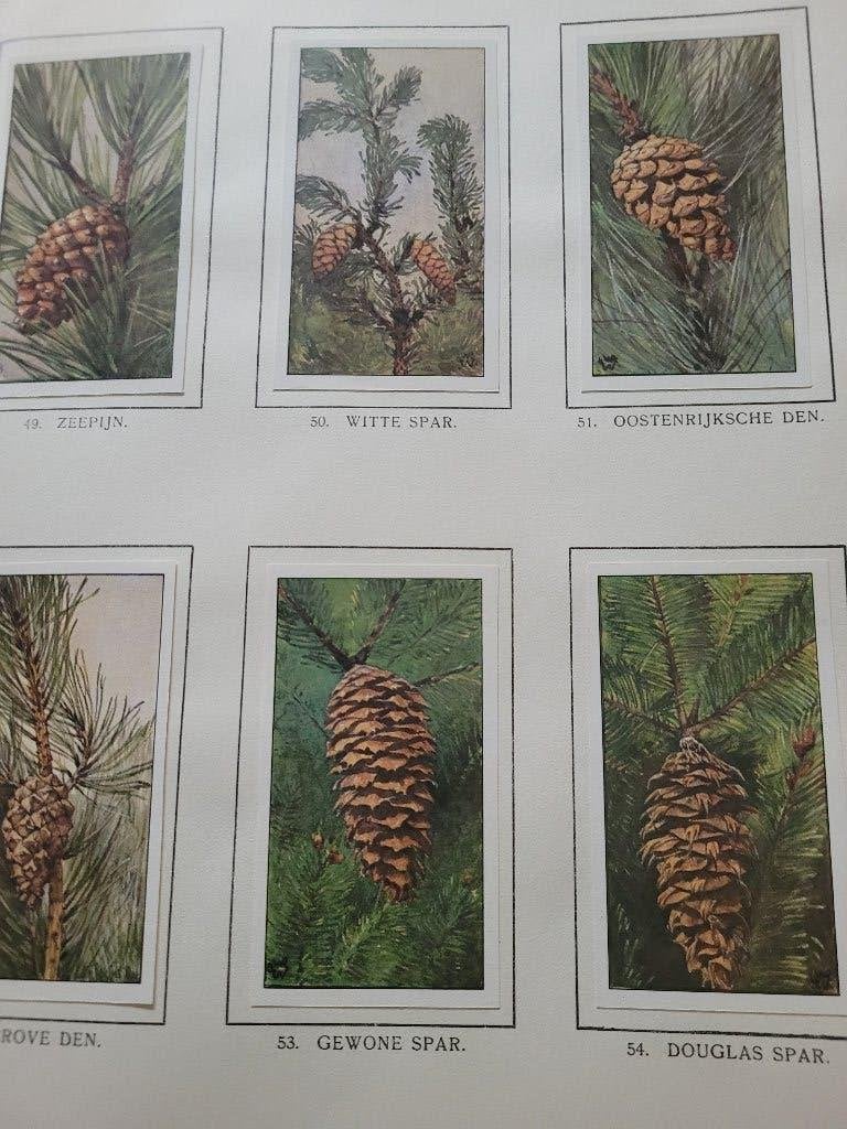 plaatjes boek Verkade Winter, Ophalen of Verzenden, Zo goed als nieuw, Jac. P. Thijsse, Plaatjesalbum