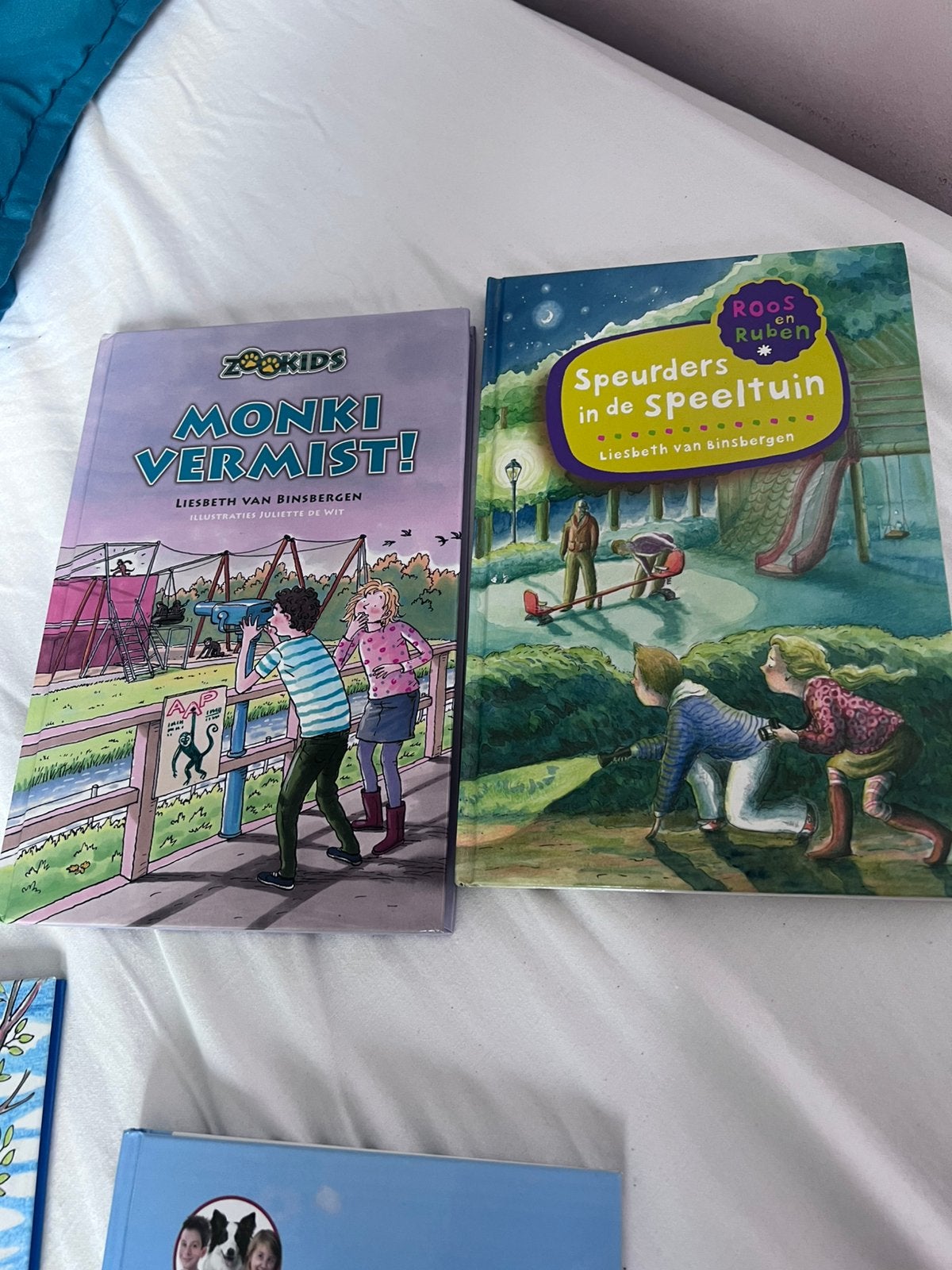 Boeken liesbeth van Binsbergen, Ophalen of Verzenden, Gelezen
