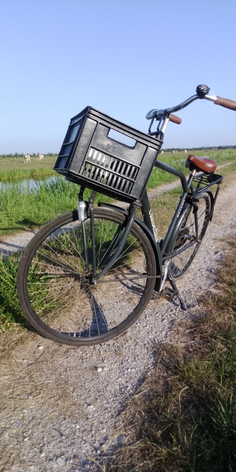 Cumberland herenfiets 28 inch met krat, Ophalen, Gebruikt, Terugtraprem, Overige merken