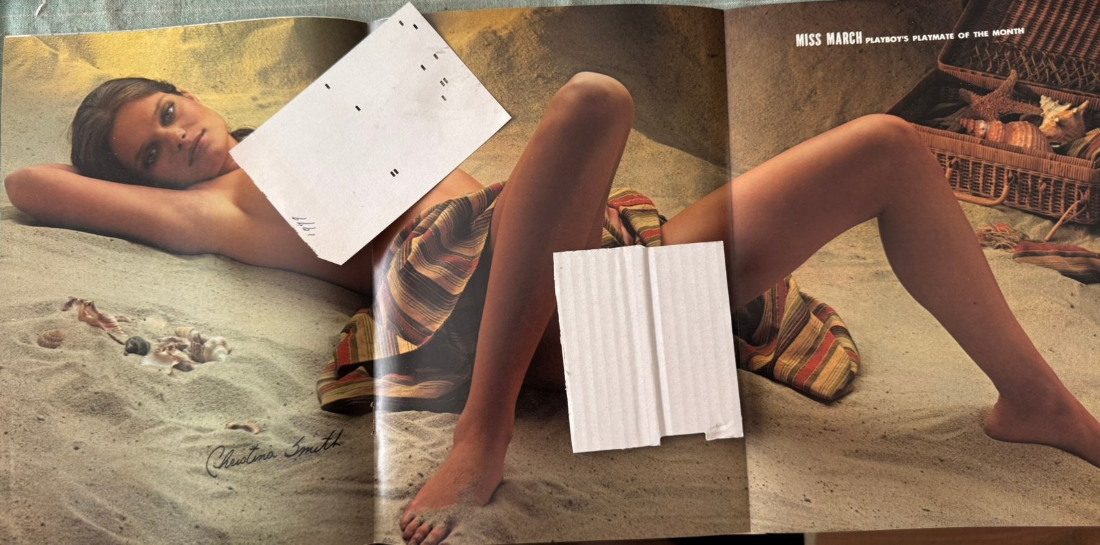 Poster playmate Christina Smith 1978, Verzamelen, Posters, Verzenden, Zo goed als nieuw, Overige onderwerpen