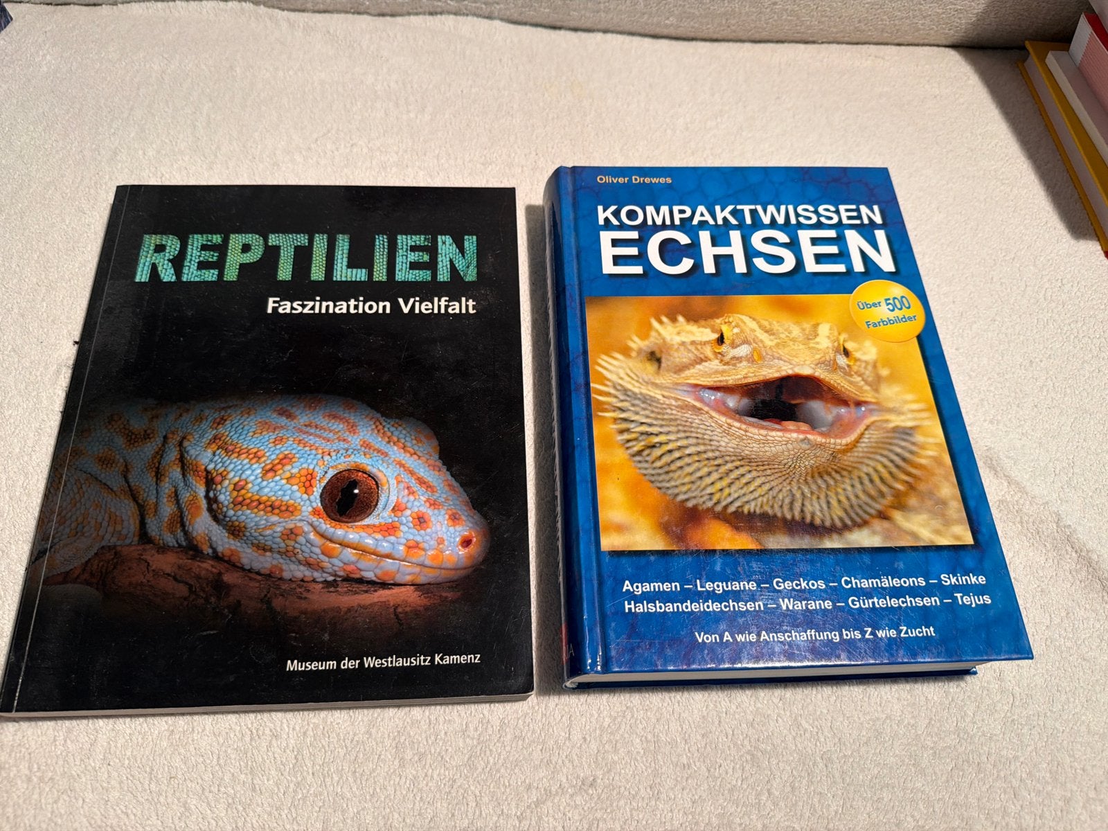 Boeken over reptielen en hagedissen - Oliver Drewes, Ophalen of Verzenden, Gelezen, Overige onderwerpen