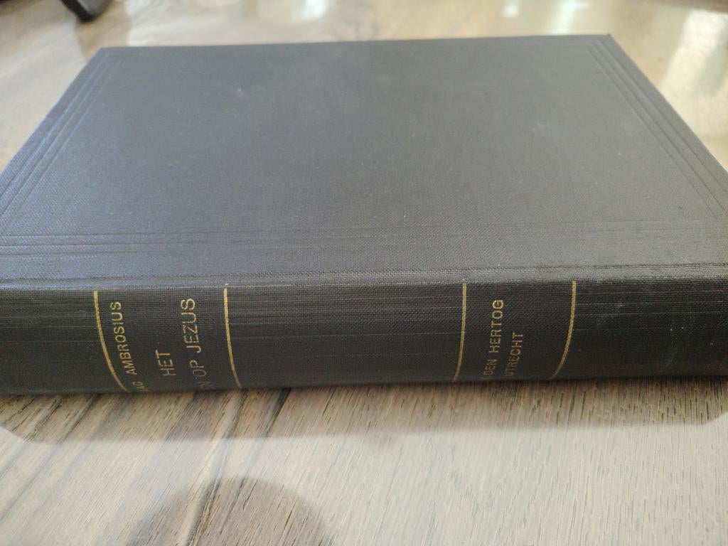 Het Zien op Jezus - Isaac Ambrosius (Zeer Nette Staat), Ophalen of Verzenden, Zo goed als nieuw, Isaac Ambrosius, Christendom | Protestants