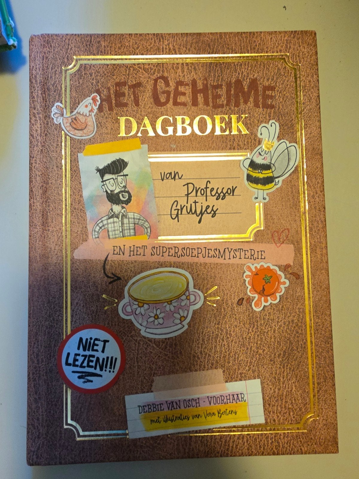 Het Geheime Dagboek van Professor Grutjes, Ophalen of Verzenden, Zo goed als nieuw, Debbie van Osch-Voorhaar, Fictie algemeen