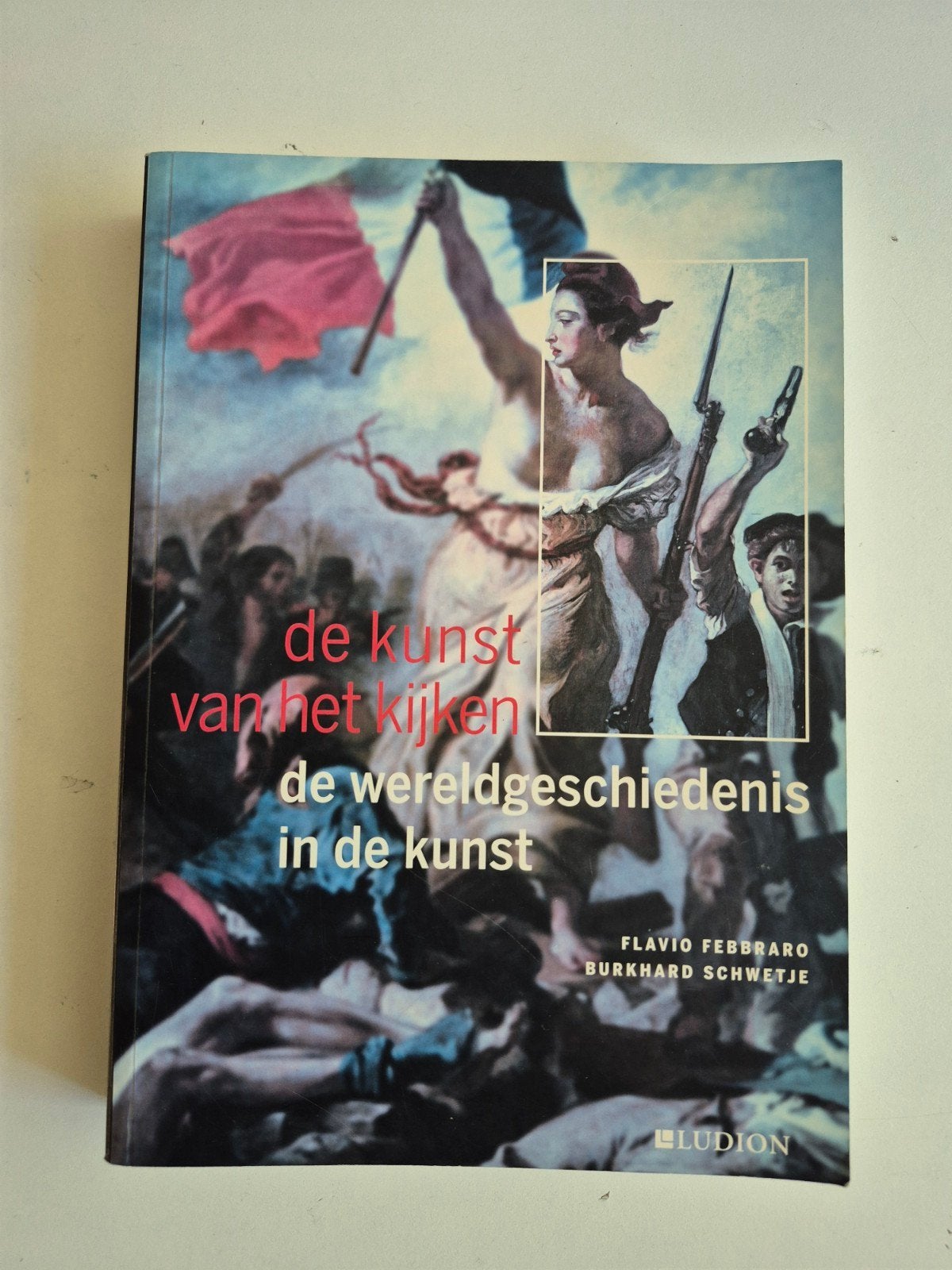 De kunst van het kijken: Wereldgeschiedenis in de kunst, Ophalen of Verzenden, Zo goed als nieuw, Overige onderwerpen, Flavio Febbraro, Burkhard Schwetje
