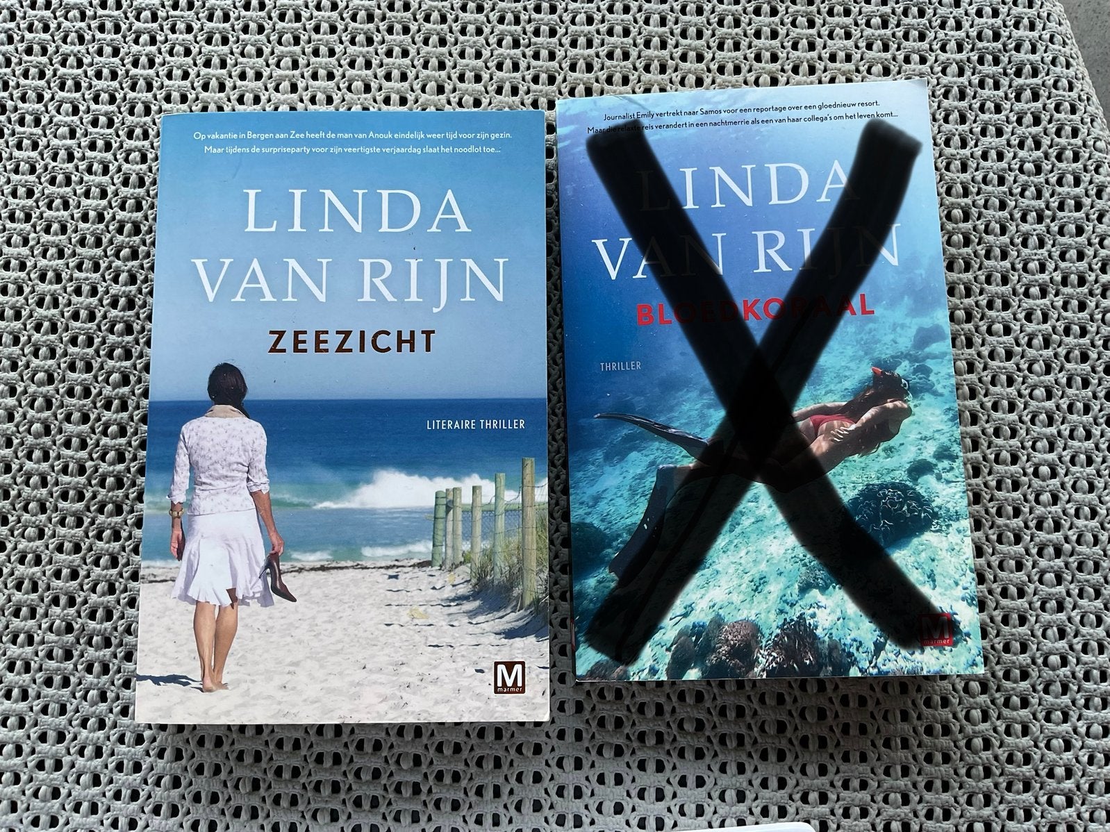 Zomer thriller Linda van Rijn, Ophalen of Verzenden, Zo goed als nieuw