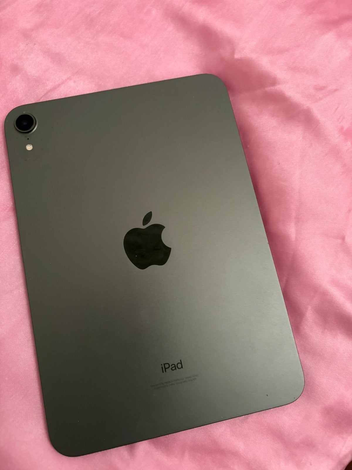 Ipad mini 6 met apple pencil