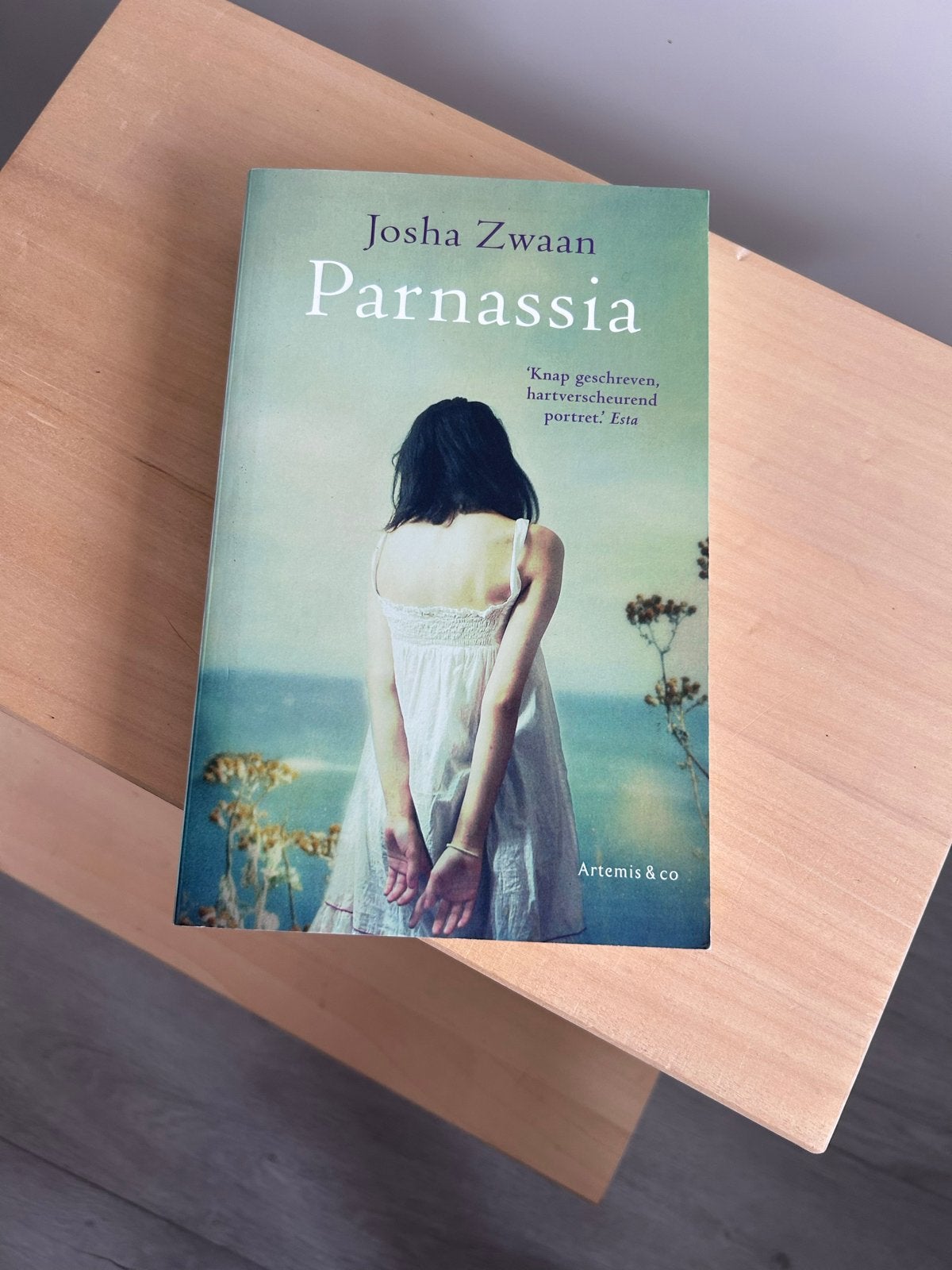 Parnassia - Josha Zwaan (Roman), Ophalen of Verzenden, Zo goed als nieuw, Nederland