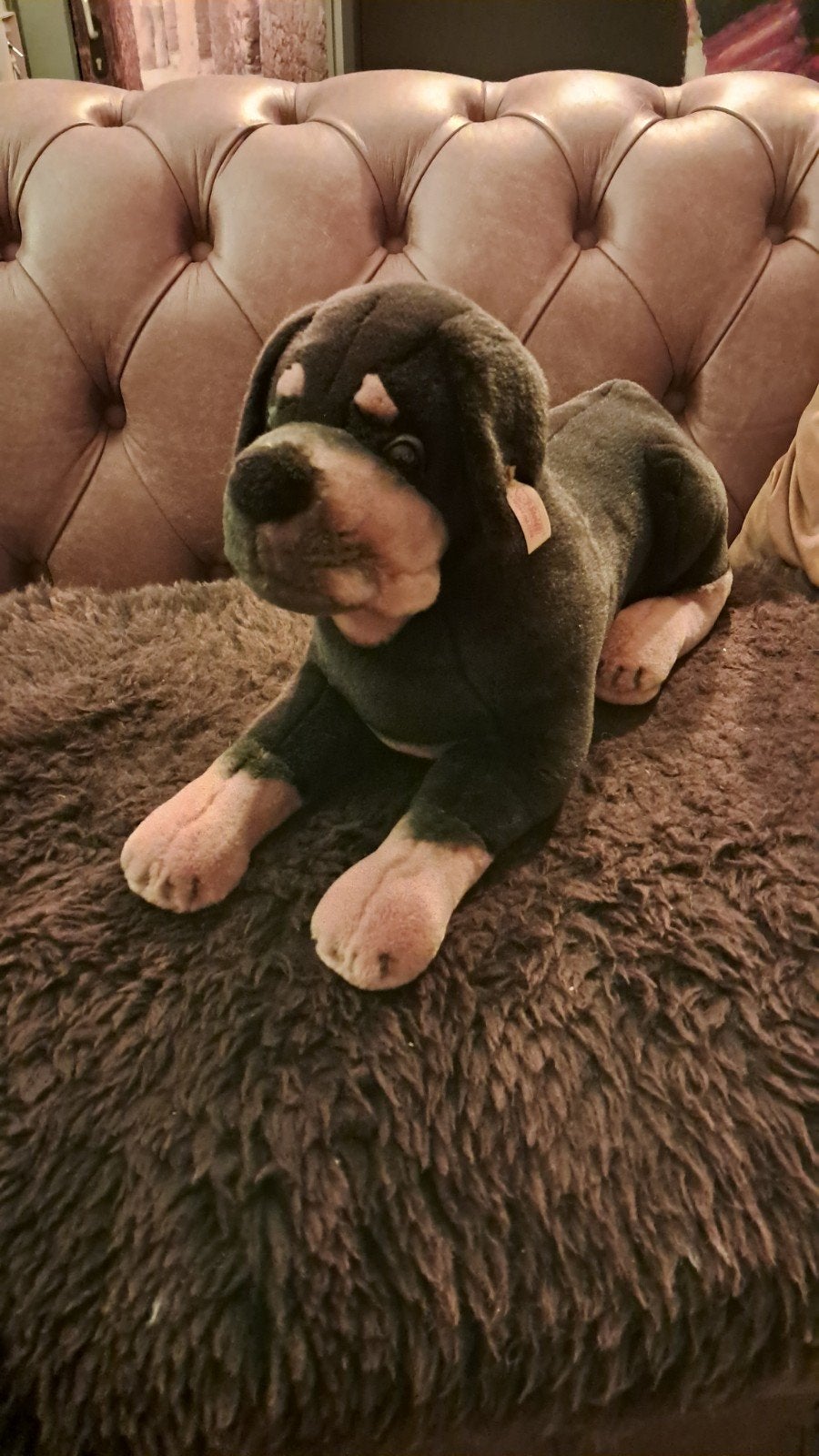 Rottweiler Knuffel- American Kennel Club, Zwart, Zo goed als nieuw, Middelgroot (20 tot 80 cm), Hond