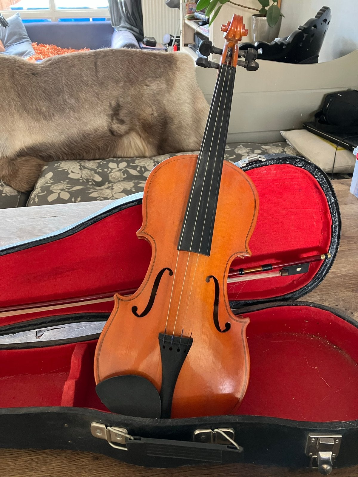 Mooie viool met koffer en strijkstok, Muziek en Instrumenten, Gebruikt, Overige formaten, Viool, Ophalen of Verzenden